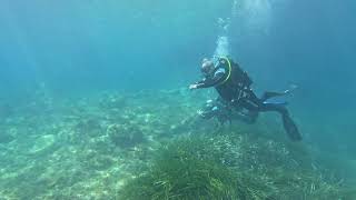 Xlendi Bay scuba diving [upl. by Guthrie]