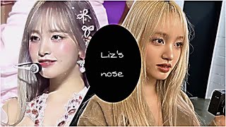 김지원 Lizs nose   sub [upl. by Bea]