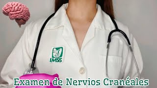 ASMR Examen de Nervios Cranéales 🧠 [upl. by Merrile]