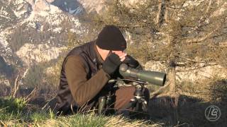 Digiscoping con Swarovski Optik ATS 80 HD [upl. by Budworth]