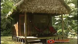 Chalalan Ecolodge  Madidi National Park [upl. by Harvison615]