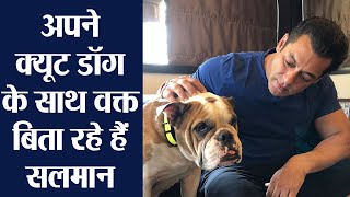 Salman Khan shares adorable pic with his dog  FilmiBeat [upl. by Eb823]