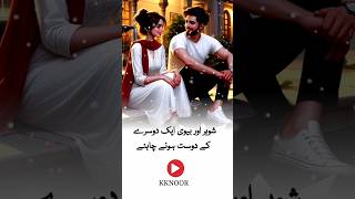 Shohr Aur Biwi Ek Dusre Ke Dost Hone Chahiye urduquotes urdupoetry shortsfeed urdu deepsline [upl. by Sihon767]