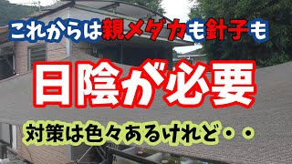 梅雨が明け本格的な夏になる前に遮光ネットを取り付けました！すだれも良いのですがメリットデメリットもあります！ご参考までに♪ [upl. by Nivel285]