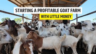 How To Start A Profitable Goat Farm With Little Capital  Detailed Plan At AireFarms [upl. by Lundin]