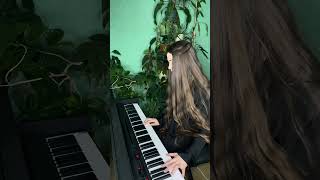 Rammstein Piano cover Wilder Wein rammstein piano pianocover pianomusic rock [upl. by Lenahc]