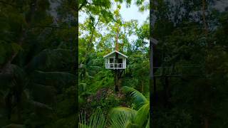 Bandarban Greenpeak Resorts 🌍🇧🇩 bandarban resort hotel touristattractions tourisme shorts [upl. by Denoting]