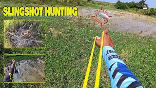 Lets go hunting EP46 SLINGSHOT HUNTING ចេញប្រមាញ់ 17122023 [upl. by Stanton]