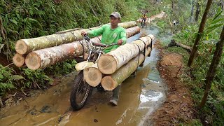 Dangerous Method They Use to Transport Gigantic Logs in Forest [upl. by Zamir]