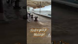 MÁLAGA 😱😱 🌊🌊🌊🌊 ASÍ ESTÁ HOY malaga dana lluvia CUÍDENSEN MI GENTE 🫂❤ [upl. by Fredella380]