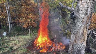 Burn Pile next to Valley Oak Snag [upl. by Eillat300]