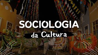 Sociologia da Cultura [upl. by Dyer]