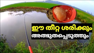 Kerala fishing  new fishing video kerala  fishing malayalam  Maneesh Fish hunting channel [upl. by Beverlee]