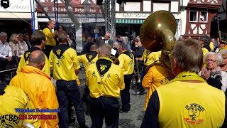 Boerenkapel De Zwiebels auf dem Weinfest in Bernkastel [upl. by Ful]