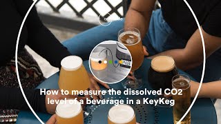 How to measure the dissolved CO2 level of a beverage in a KeyKeg [upl. by Massingill703]