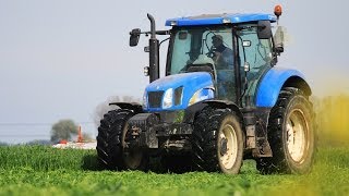 Italiaans raaigras maaien  Mowing Italian ryegrass  New Holland T6030 with Kuhn FC 313 [upl. by Ahidam385]