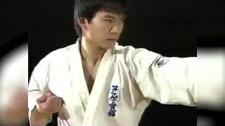 Karate Ashihara Basics  Rare Video  Fatal Spark [upl. by Schnorr]