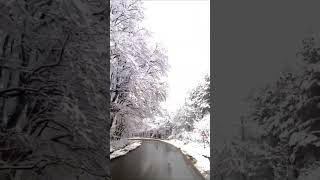 Trending Snow Video Snow Snow Snowvideos [upl. by Neleh312]