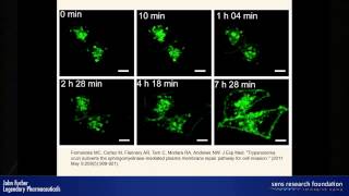 Inducing exocytosis to remove lipofuscin  John Furber [upl. by Notxarb11]