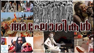 അഘോരി ആരാണ് Who is an Aghori [upl. by Singer16]