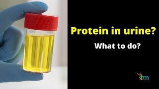 What is the Cause of Albumin in Urine Can it be Cured Permanently [upl. by Ilek]