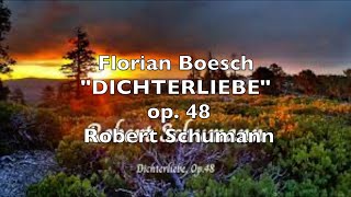 Florian Boesch quotDICHTERLIEBEquot op 48 Robert Schumann [upl. by Hamehseer]