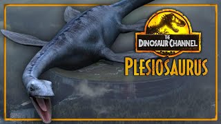 What Was The Plesiosaurus  The Dinosaur Channel [upl. by Aeslehc]