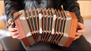 Is This the Worlds Worst Instrument Hohner Concertina Review [upl. by Lupiv]