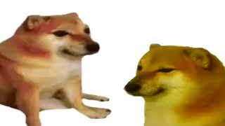 doge bonk meme [upl. by Franciskus]