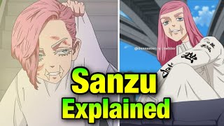 Sanzu Haruchiyo Explained Tokyo Revengers English [upl. by Ranita]