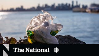 Federal Court overturns national singleuse plastics ban [upl. by Gentry433]