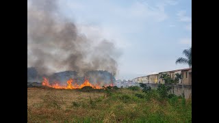 Incendio forestal amenaza a tres urbanizaciones y provoca apagón en el norte de Guayaquil [upl. by Landau]