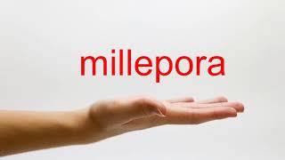 How to Pronounce millepora  American English [upl. by Dde118]