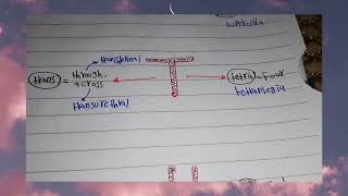 prefixes used in medical terminology part 6 [upl. by Dysart]