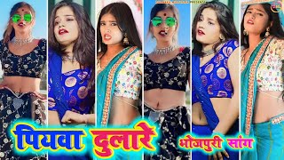 पियवा दुलारे  piyawa dulare । bhojpuri tiktok video new 2024 । tiktok video । bhojpuri song [upl. by Haleemak706]