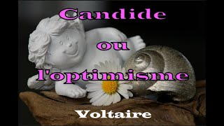 Voltaire  Candide ou loptimisme  chapitre 30  fin  Livre Audio [upl. by Rebmetpes529]