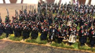 Napoleonic Army Showcase  The Guard [upl. by Ubald533]