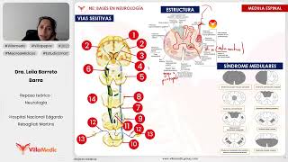 BASES EN NEUROLOGÍA PARTE 4  NEUROLOGÍA  VILLAMEDIC [upl. by Sigfrid]