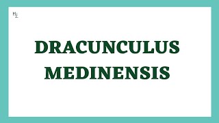 Dracunculus medinensis  Guinae Fire Worm  Tissue Nematode  Dracunculiasis [upl. by Tat]