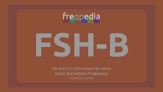 FSHB fertility and infertility Gene Activation Frequency [upl. by Nnod]