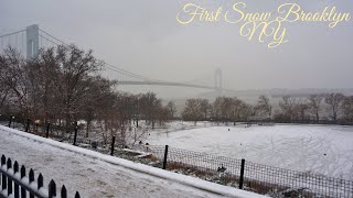 First Snow Bay Ridge Brooklyn NY January 2024 [upl. by Kohler]