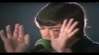 SABUPequeña y Frágil 1978VideoLetra🎶🔉 [upl. by Junno]