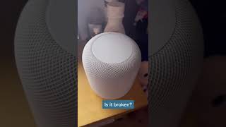 My HomePod STOPPED WORKING Whats Going On 😭 [upl. by Wera]