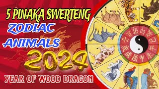 5 PINAKA SWERTENG ZODIAC ANIMALS IN 2024  LUCKIEST ZODIACS IN 2024 [upl. by Kuhlman]