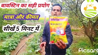 Bavistin fungiside uses। फैंगिसाइड का प्रयोग कैसे करें। फैंजिसाइड की सही मात्रा की जानकारी । [upl. by Torosian62]