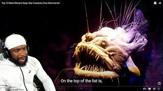 THIS IS WHY IM SCARED OF THE OCEANS Top 10 Most Bizarre Deep Sea Creatures Ever Discovered [upl. by Anera]