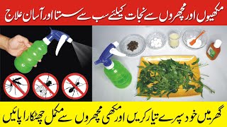 Get Rid of House Flies in Rainy Season  Home Remedy  Makhian Machar Bhaganey ka Asan Tarika [upl. by Sydney]