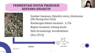 Bioteknologi 26 Aplikasi Fermentasi di Bidang Farmasi [upl. by Yttam]