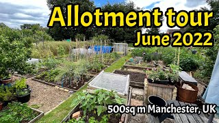 Allotment Tour JUNE 2022 Vegetable Gardening UK Plot tour [upl. by Narhet]