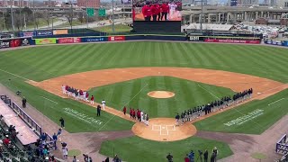 Bisons introductions [upl. by Issi]